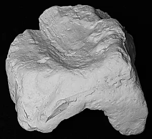 Venstre fod med sandal. Fragment fra kolossal statue by Ubekendt