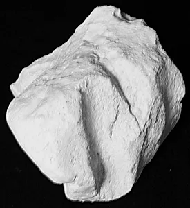 Venstre fod med sandal. Fragment fra kolossal statue by Ubekendt