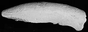 Venstre (?) højre arm, fragment. Fra statuette by Ubekendt