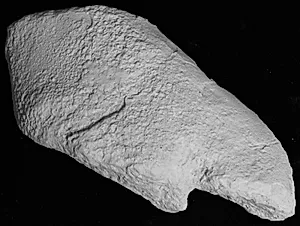 Venstre spielbein, fragment by Ubekendt