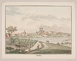 Viborg by Søren L. Lange