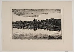 Viborg sø by Johannes Groth