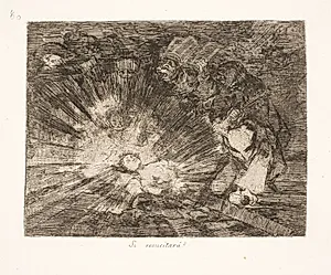 Vil den genopstå? (80) by Francisco de Goya