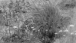 Vilde planter og græs by Lorenz Frølich