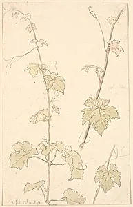 Vinranker. Nysø by P.C. Skovgaard