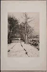 Vinterlandskab. Ved et skovhegn
