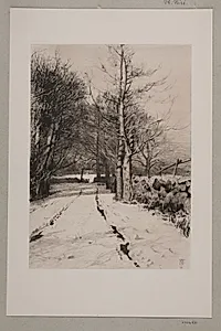 Vinterlandskab. Ved et skovhegn