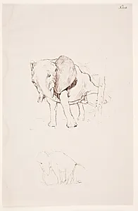 "Weg der Befleckung" - Elefant forretter sin nødtørft. 2 studier by Max Klinger