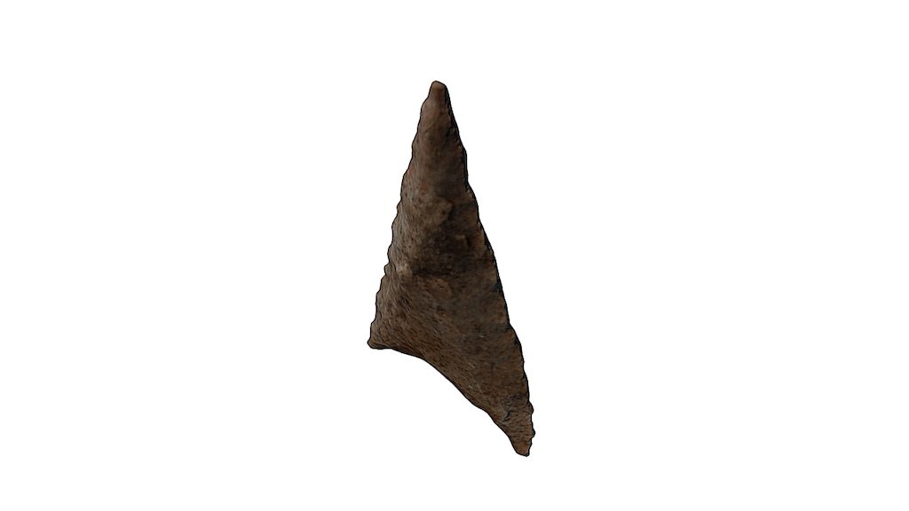 Ponta de Seta/Arrowhead
