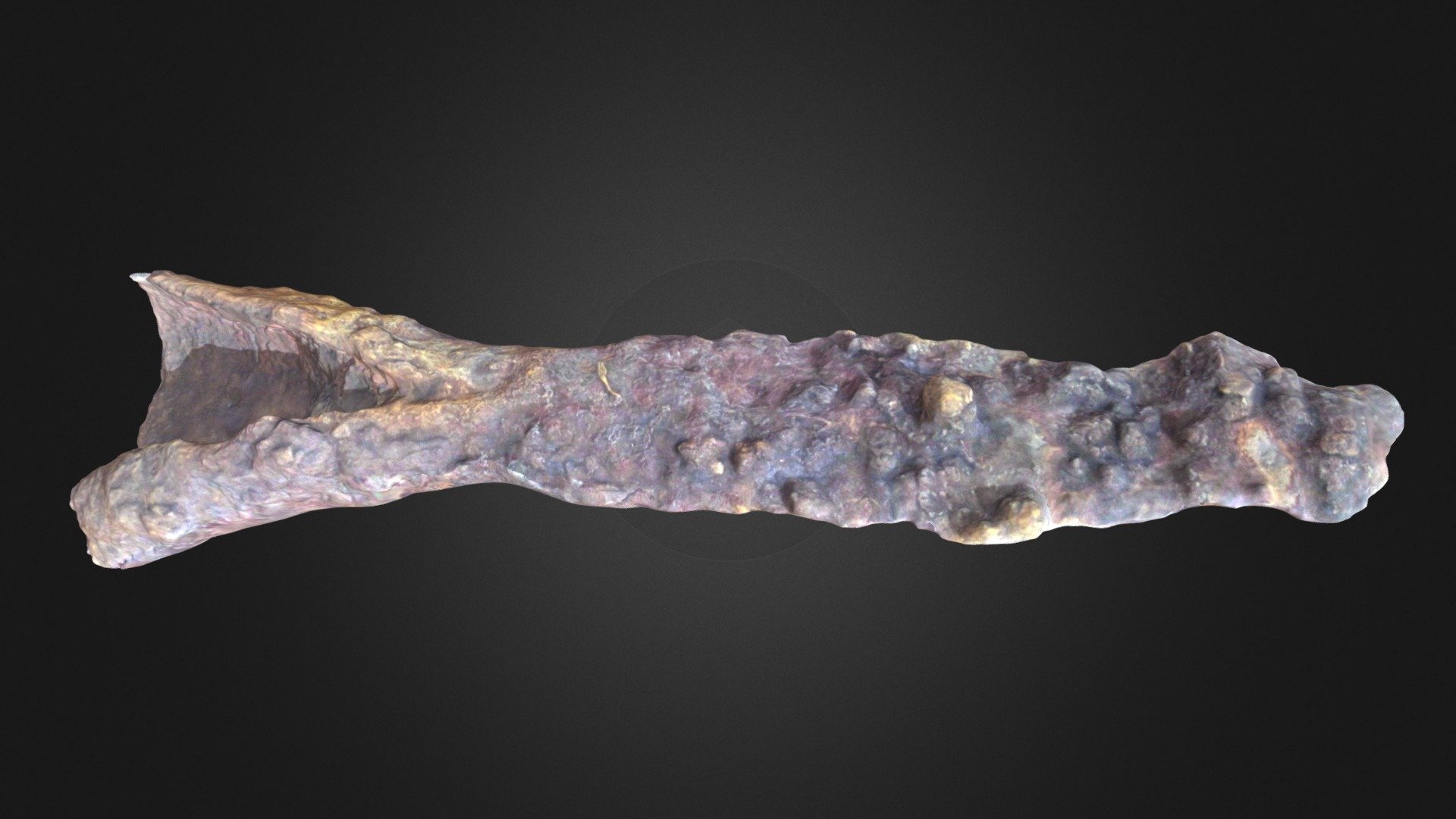 Iron Age Spear I1K10