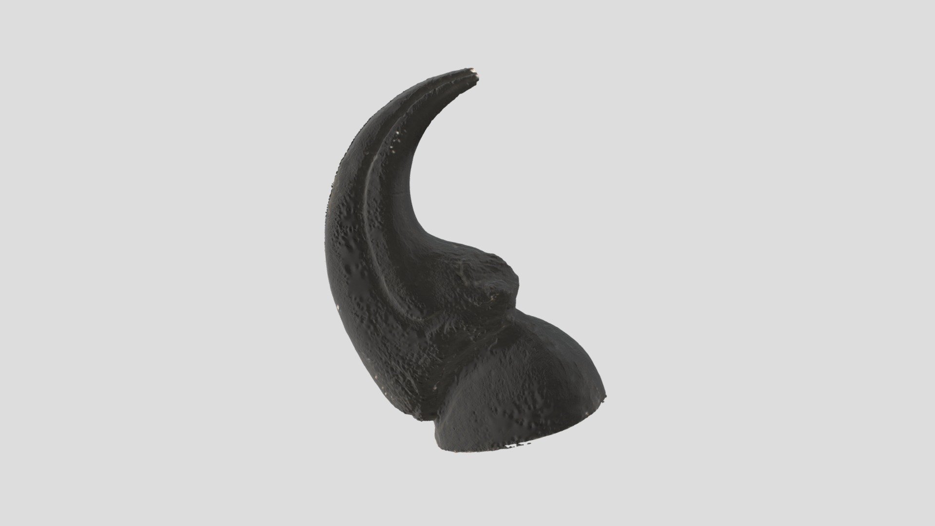 Allosaurus Finger Claw