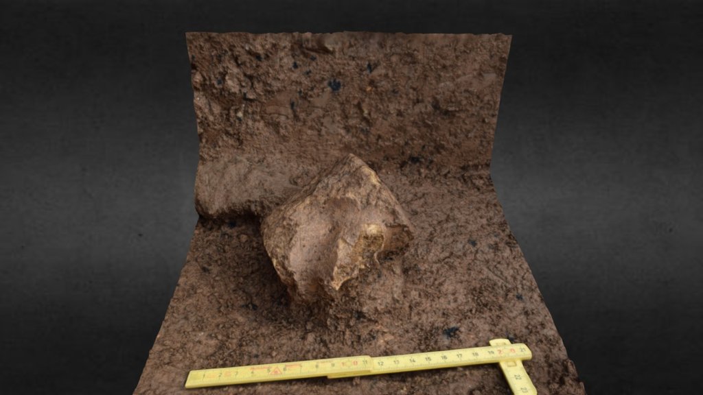 Hvalabein, Whale bone