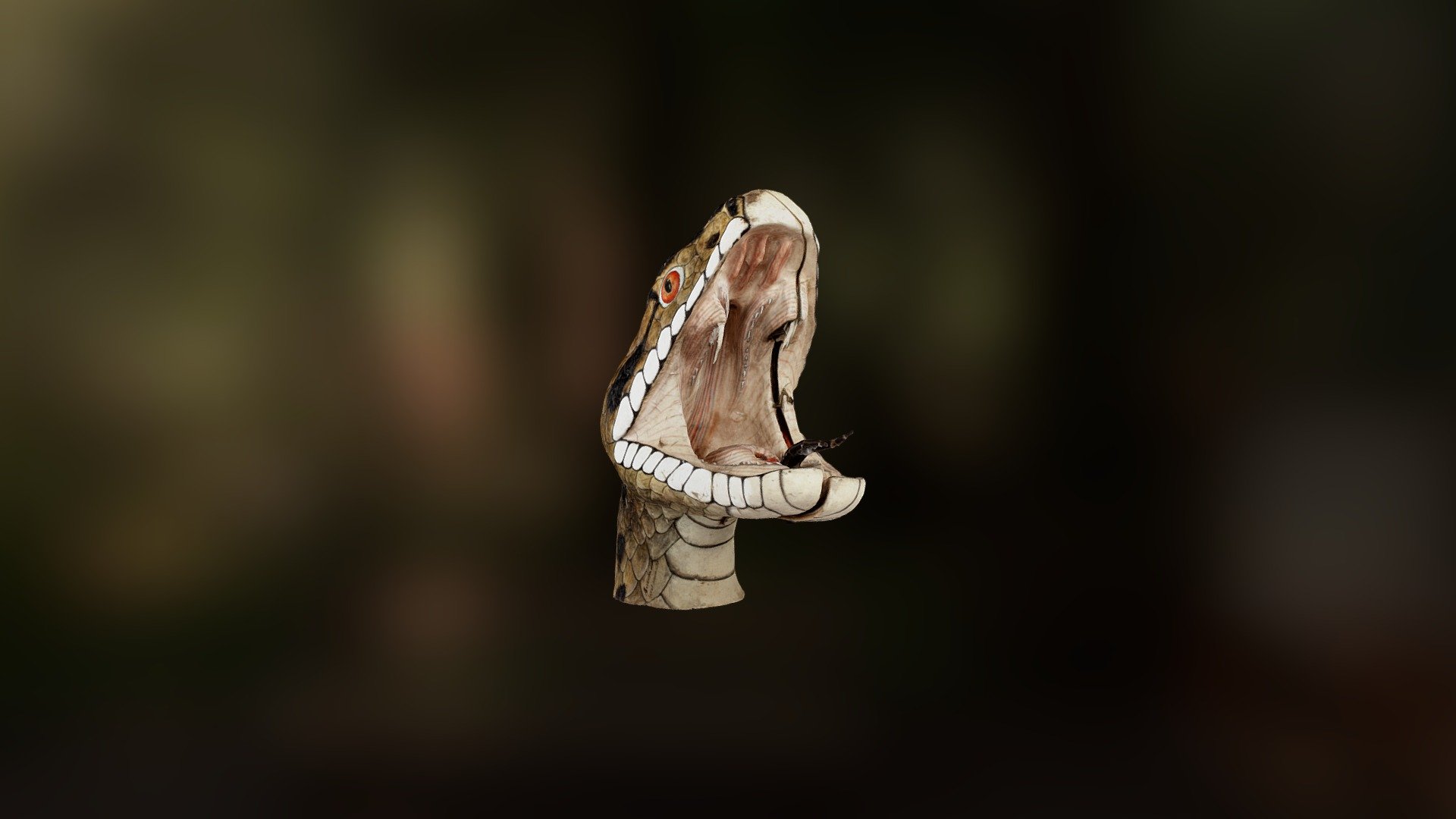 Cabeza de Víbora del Dr. Auzoux