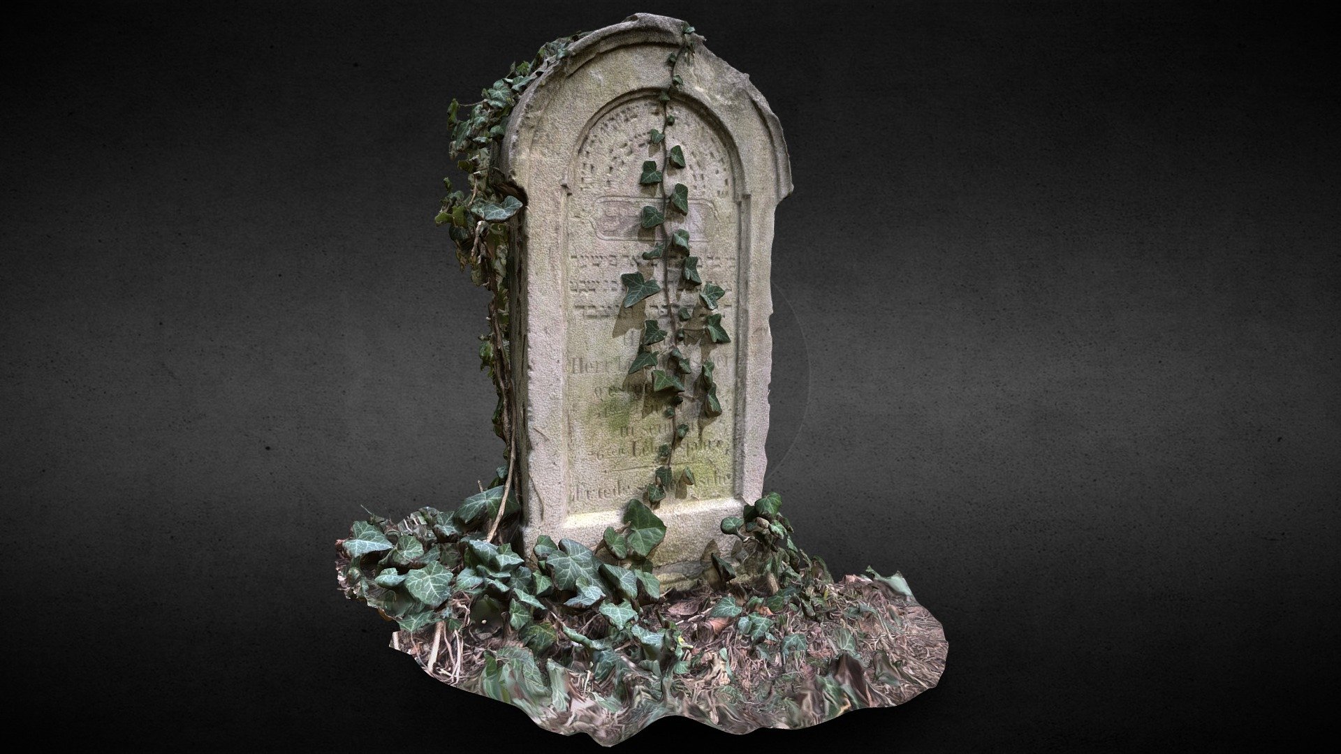 Tombstone Jewish  cemetery Koszeg