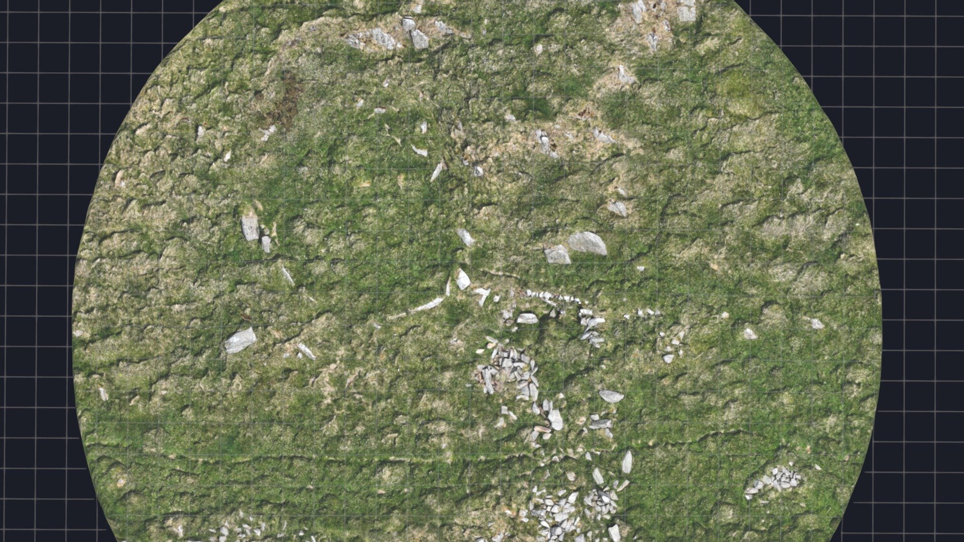 Roundhouse Platform, Pen-y-Gaer Hillfort