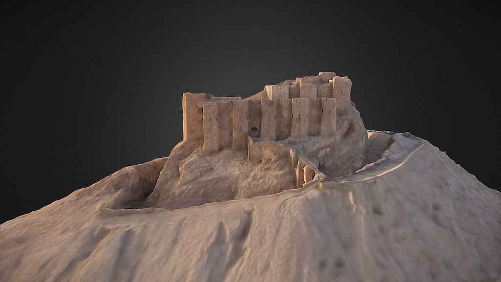 Palmyra Castle
