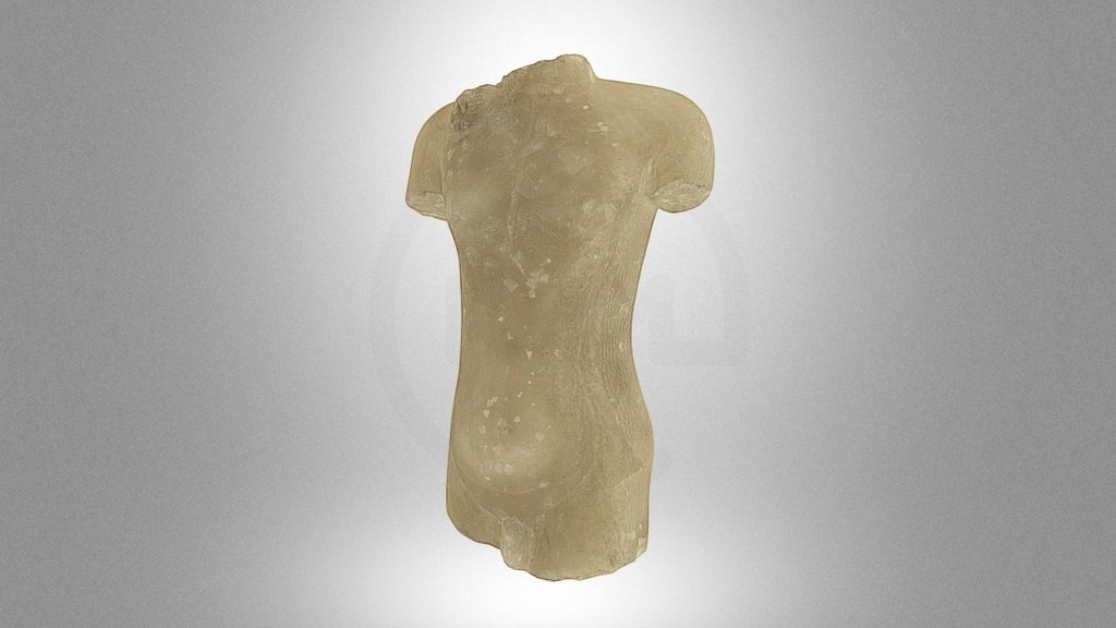 El-Kantara male torso