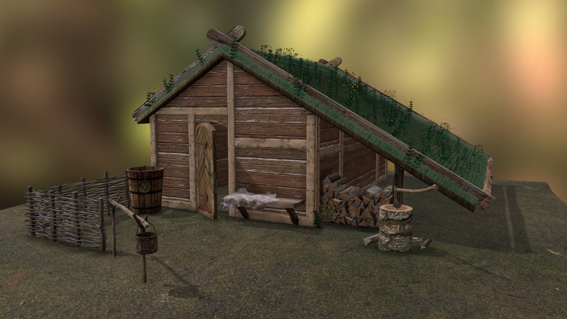 Viking house