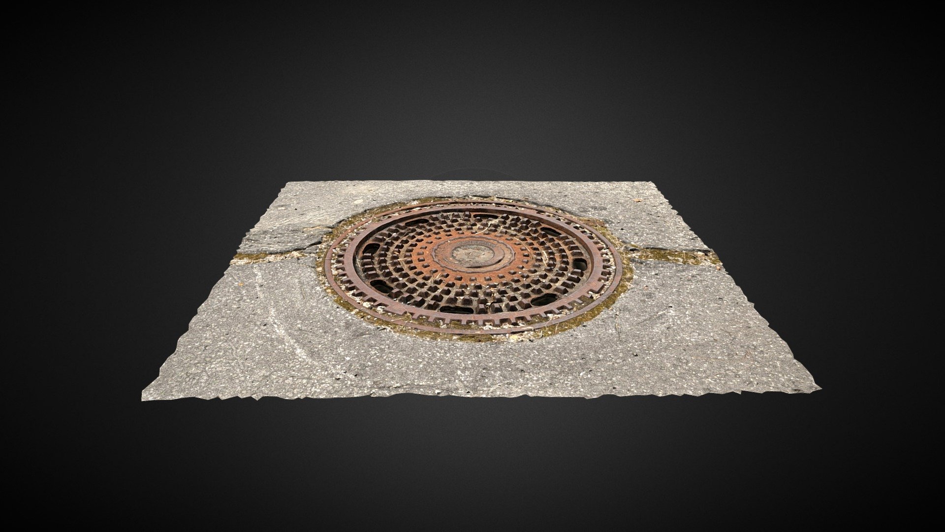 Sewer Cover 3D scan