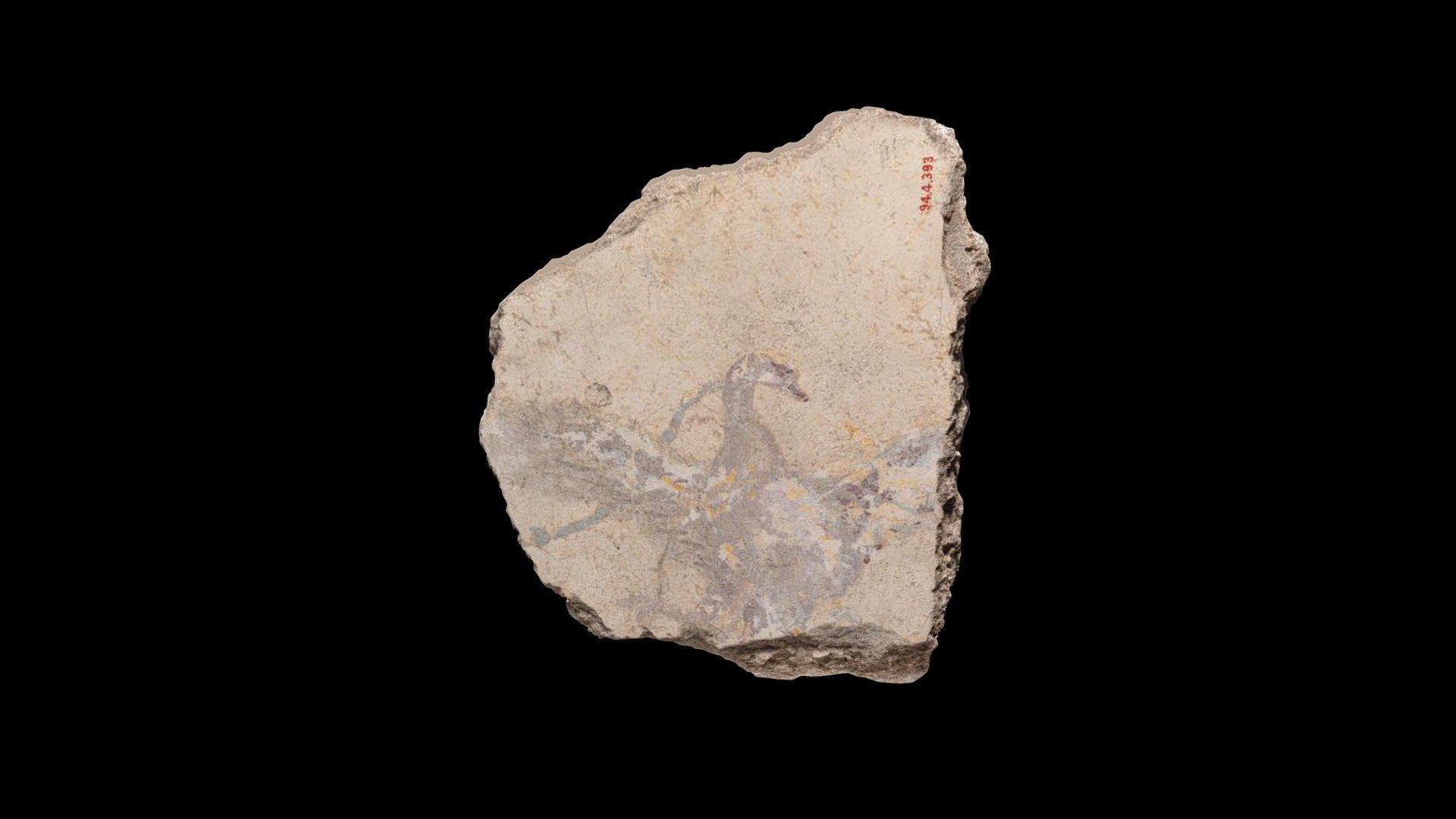 Painted wall fragment 16