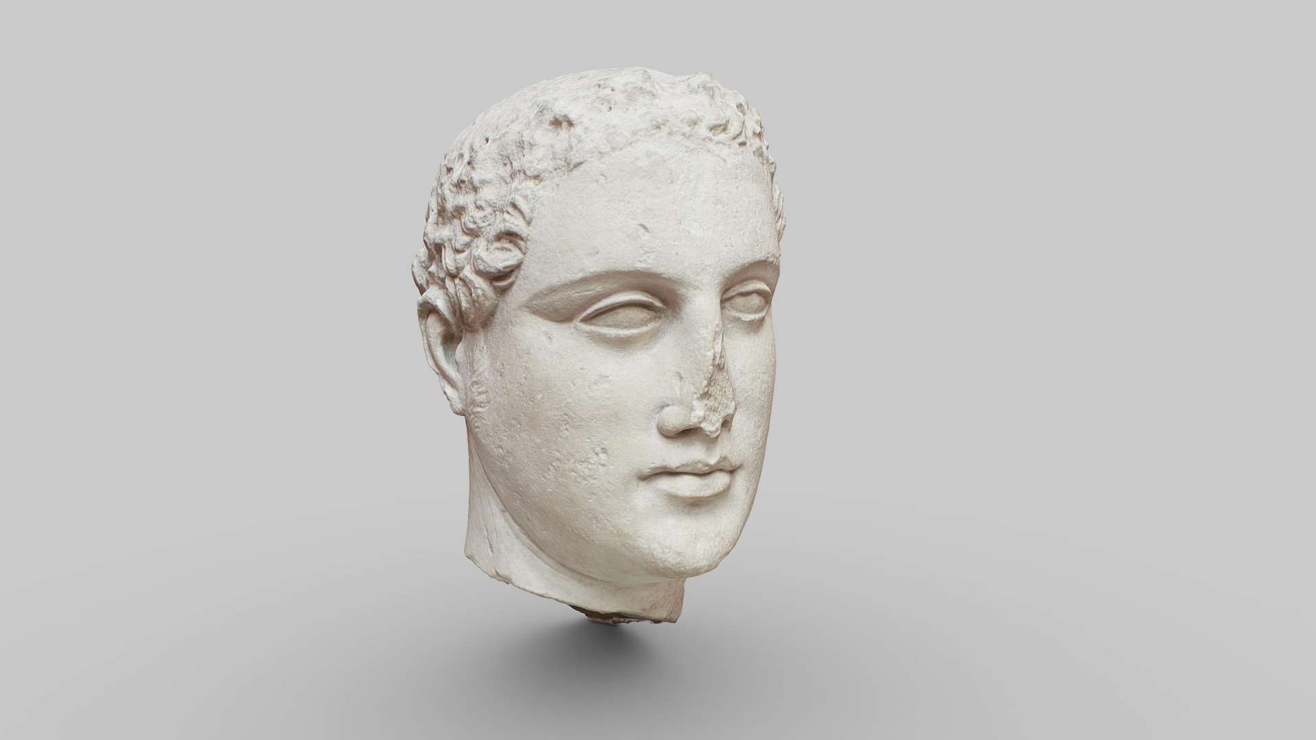Hellenistic Nobleman Statue Head