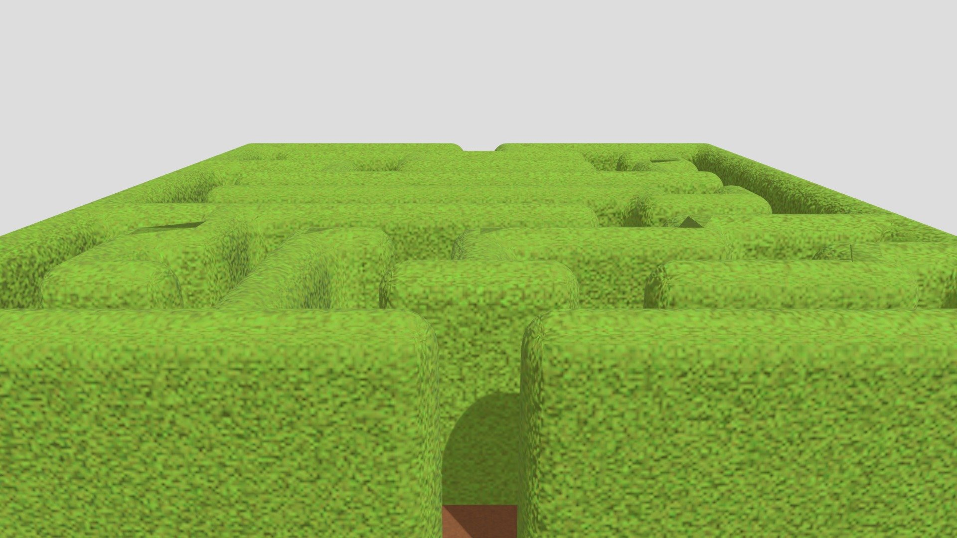 Maze Grass Wall by CMJ'S ART