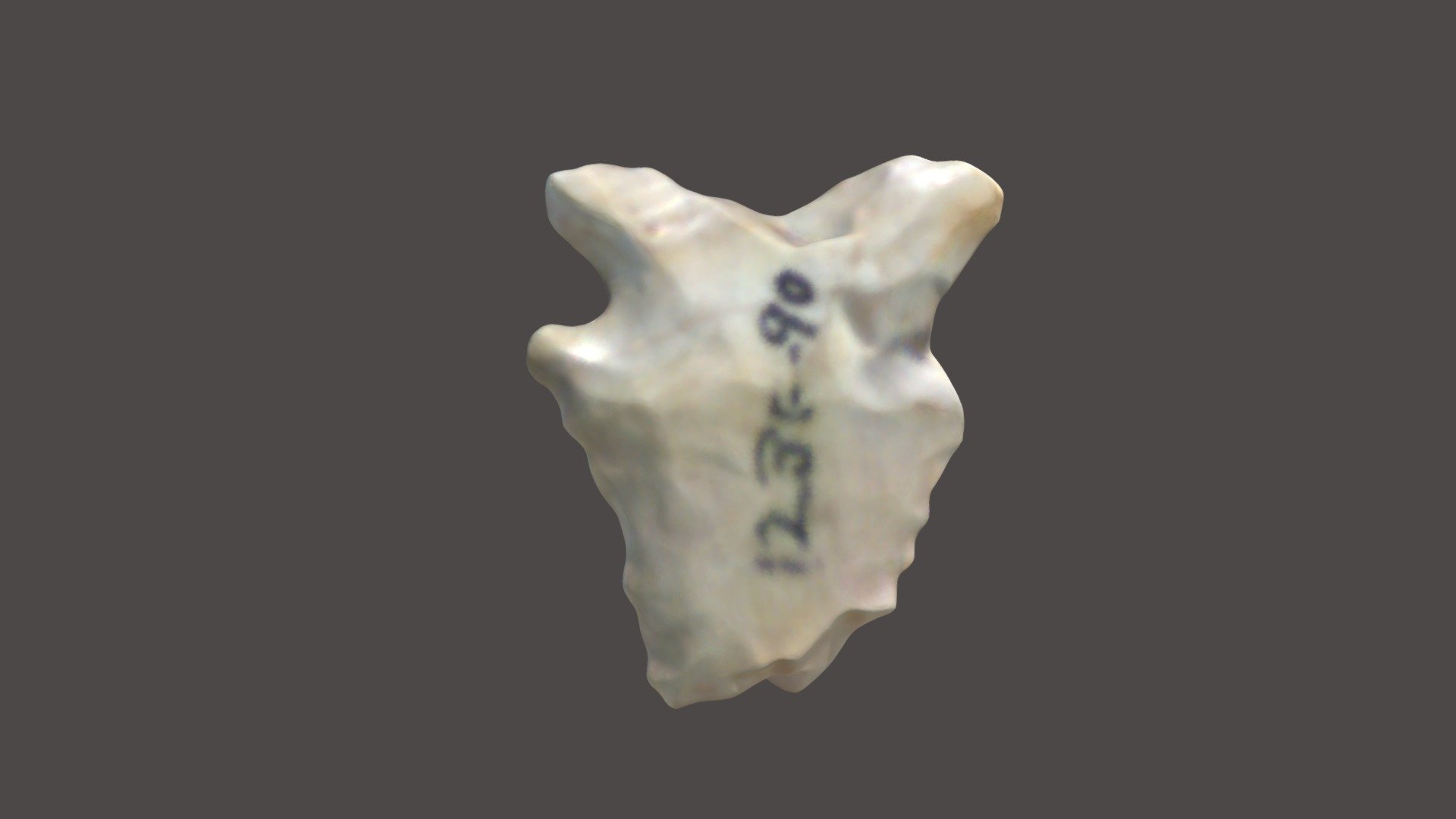ROI005-049-01