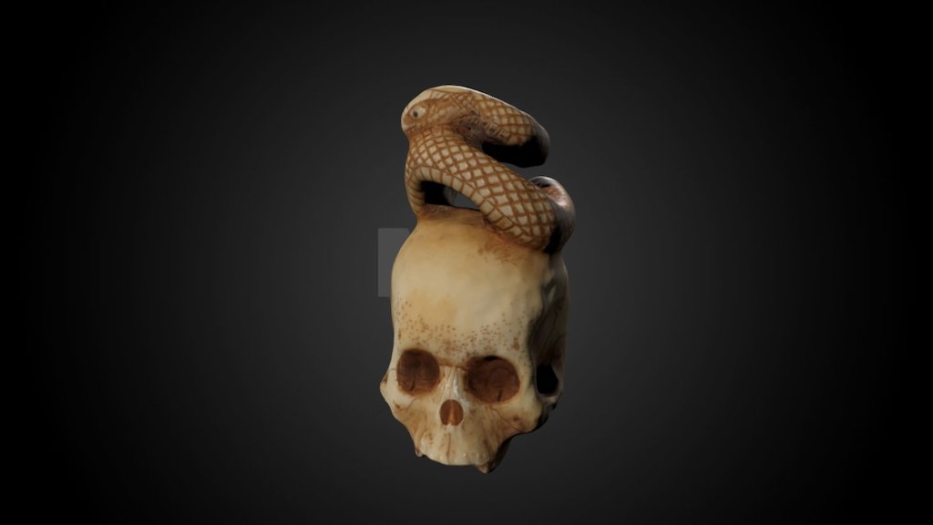 Ivory skull netsuke