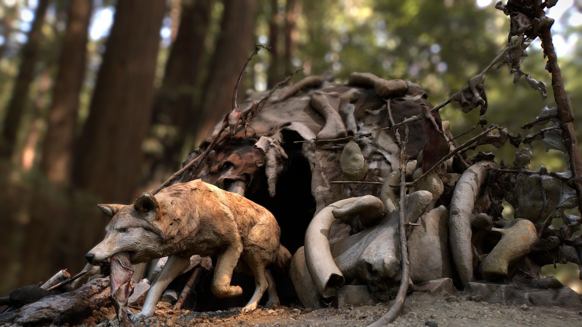 25,000 years abandoned hut