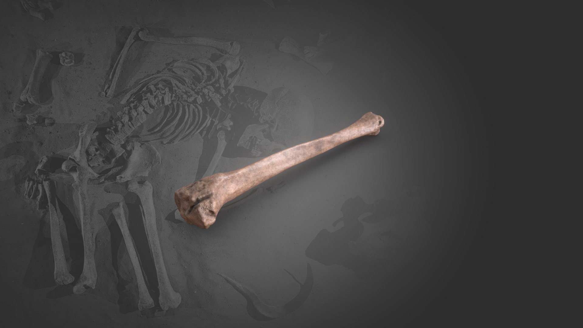 Vikingslachtoffer