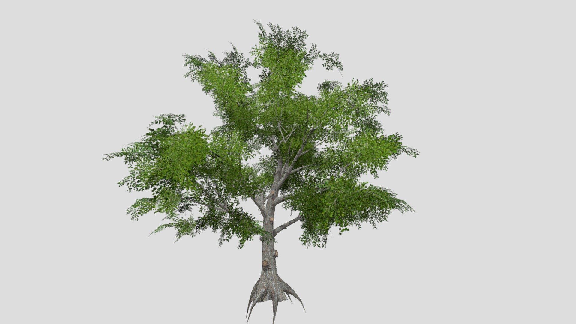 Tree low poly