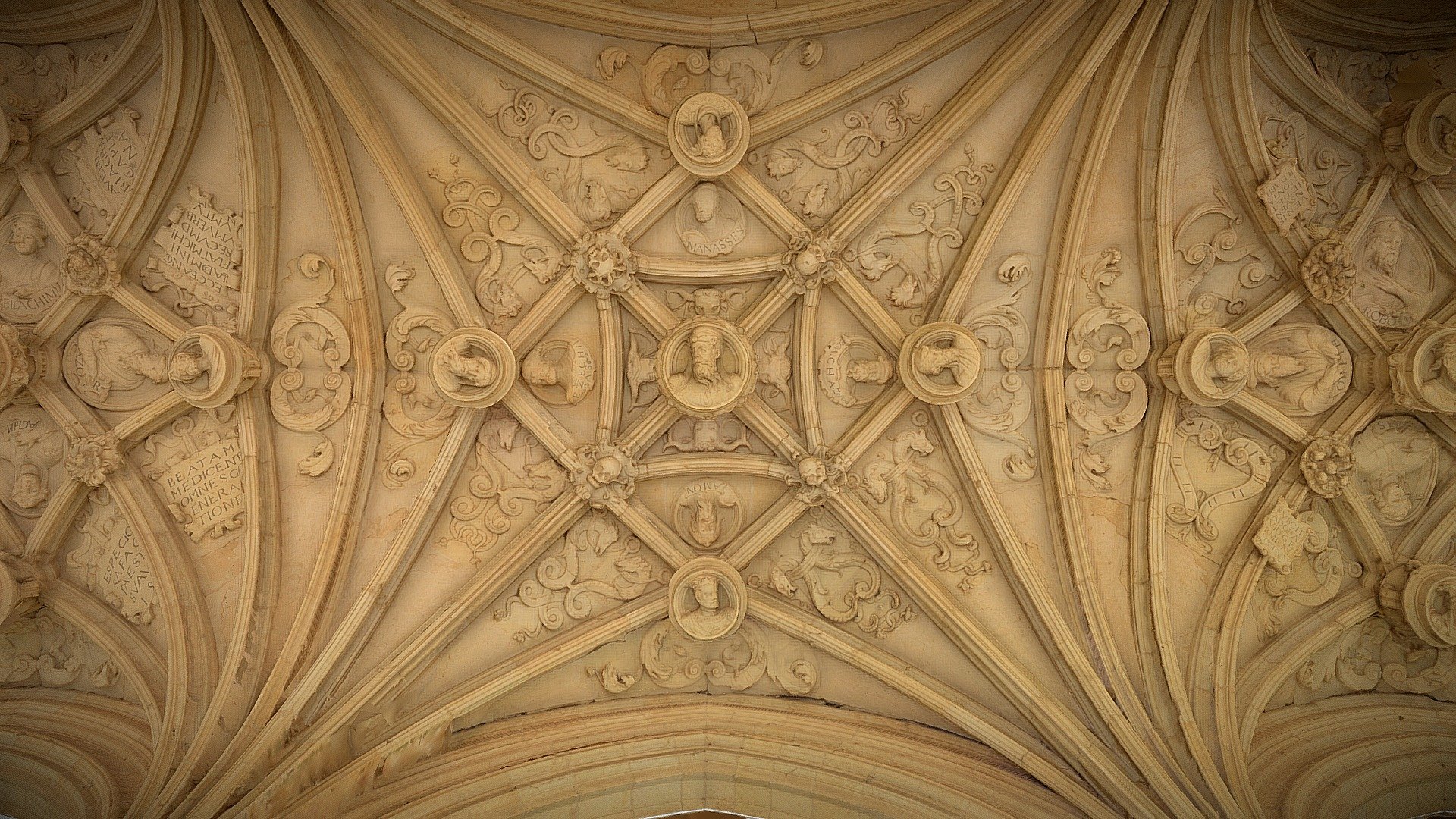 Vault, cloister of San Zoilo