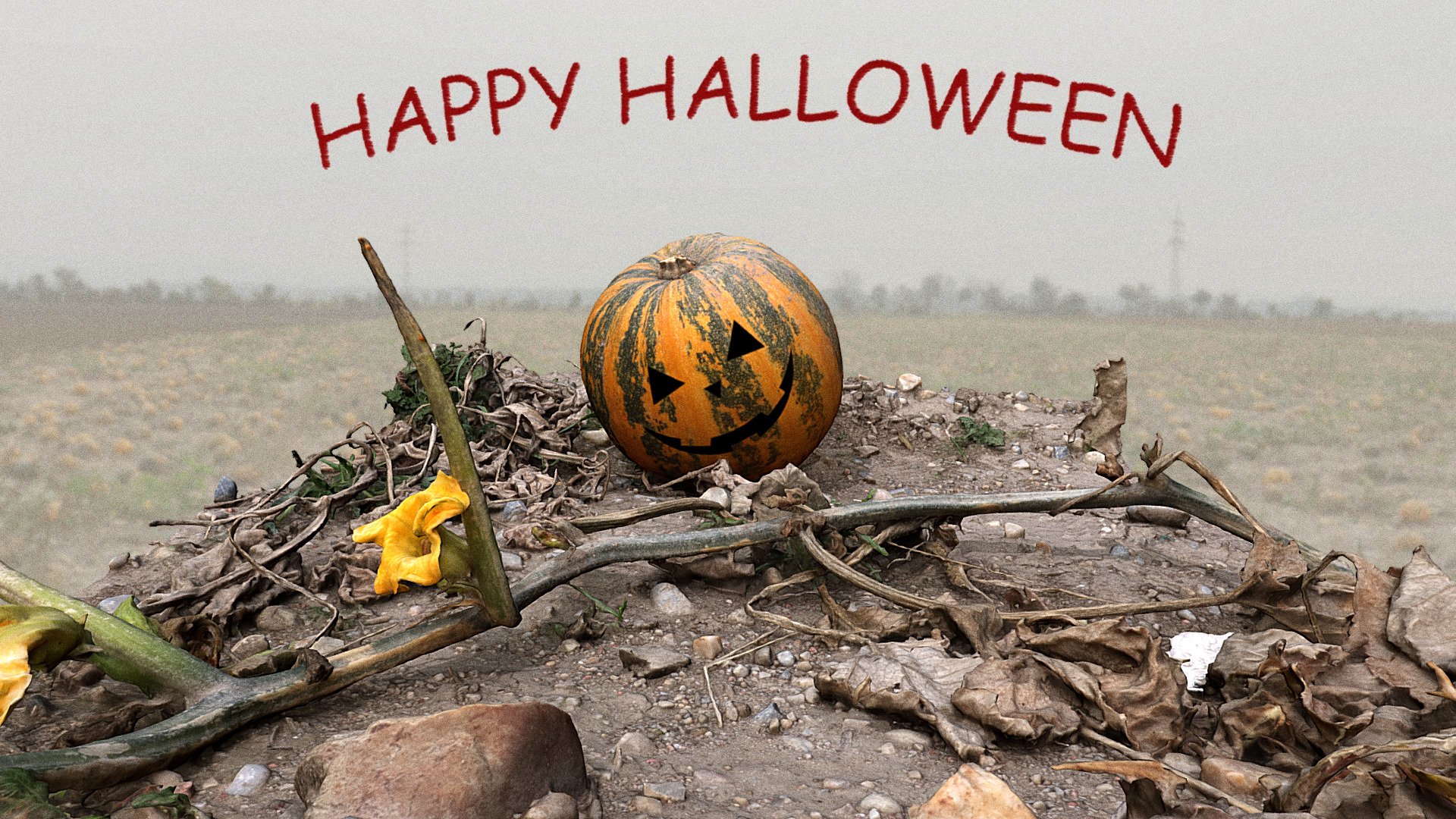 Happy Halloween
