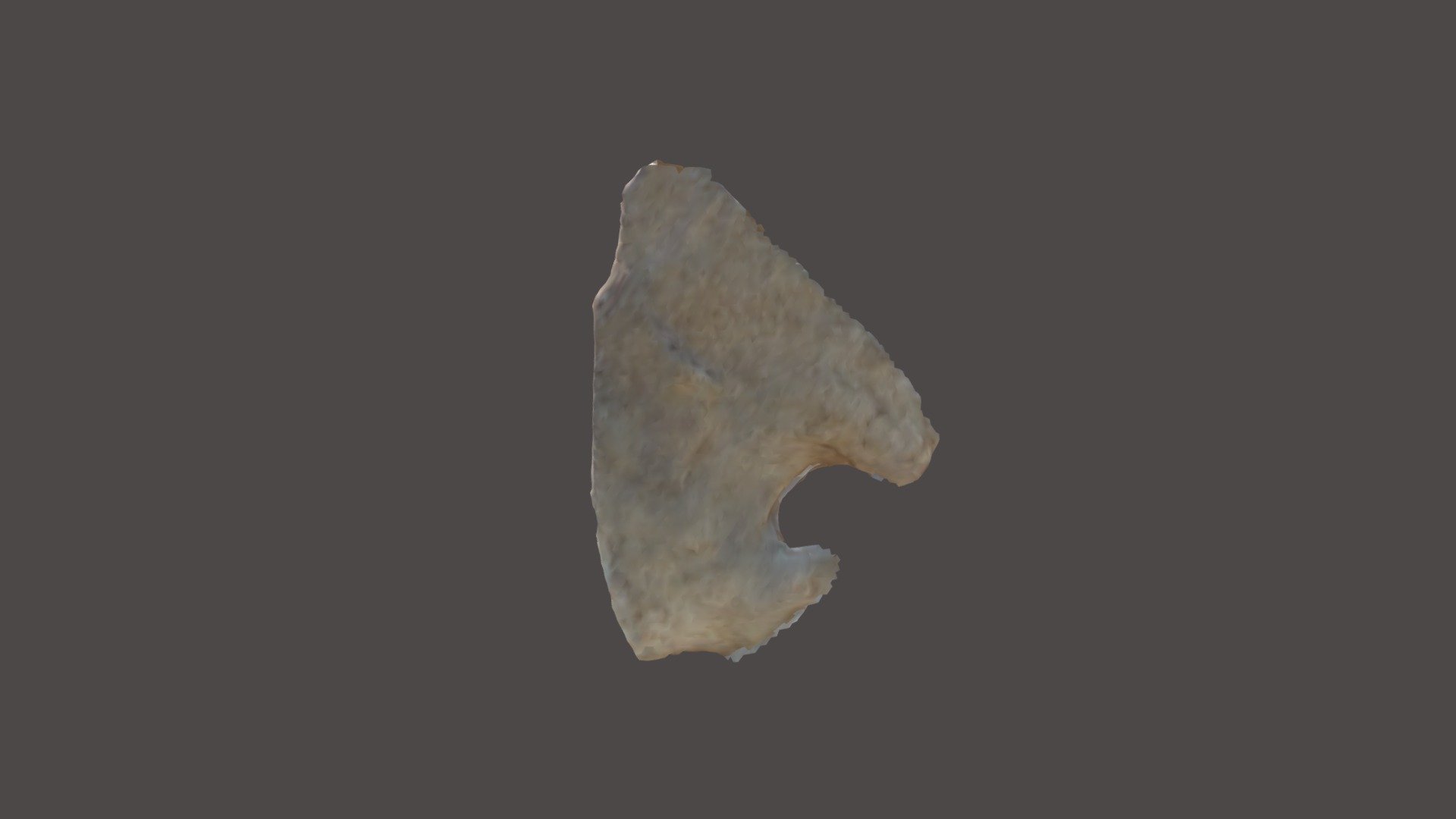 ROI041-010-02