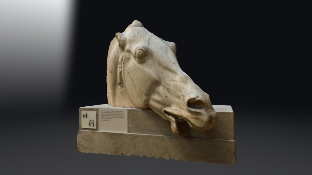 Parthenon Horse Head. British Museum