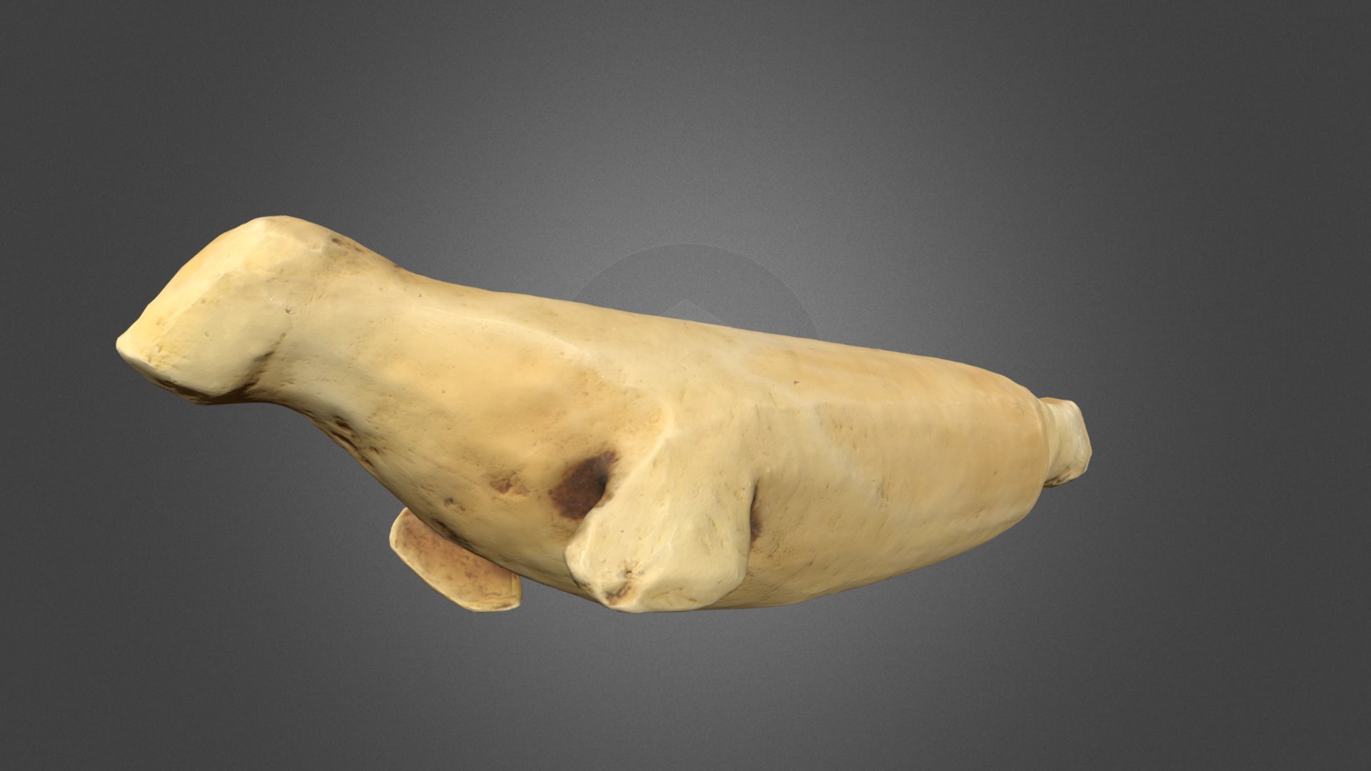 Seal Model