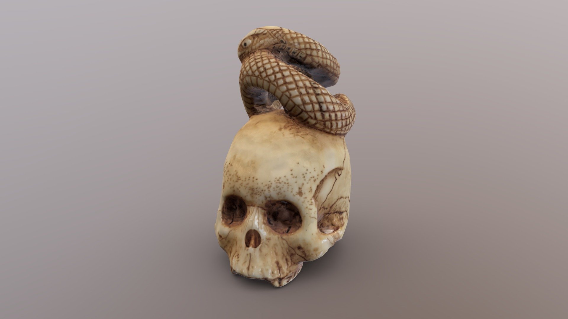 Snake Sitting on a Skull Ivory Netsuke -Low Poly
