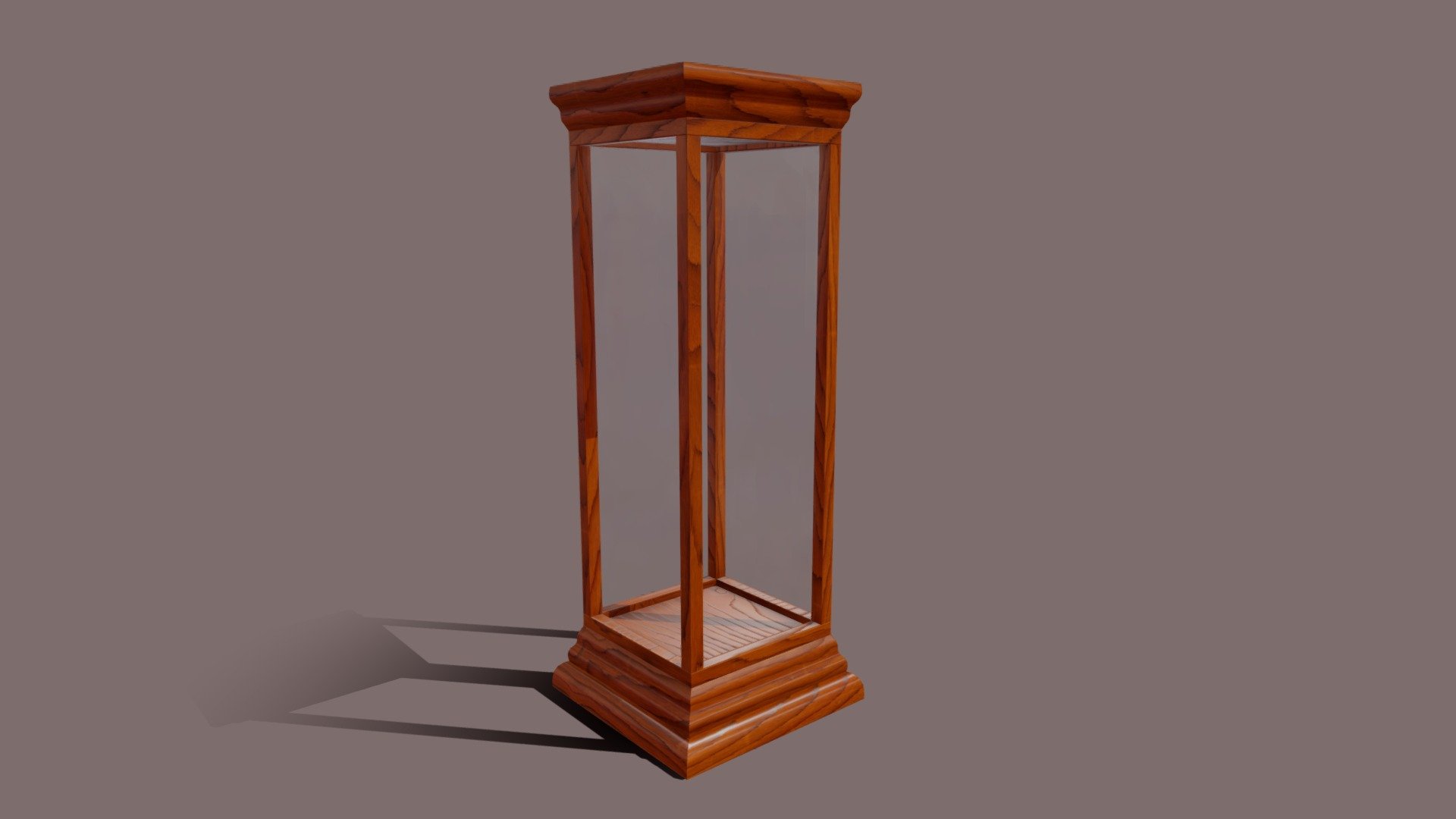 Museum showcase stand