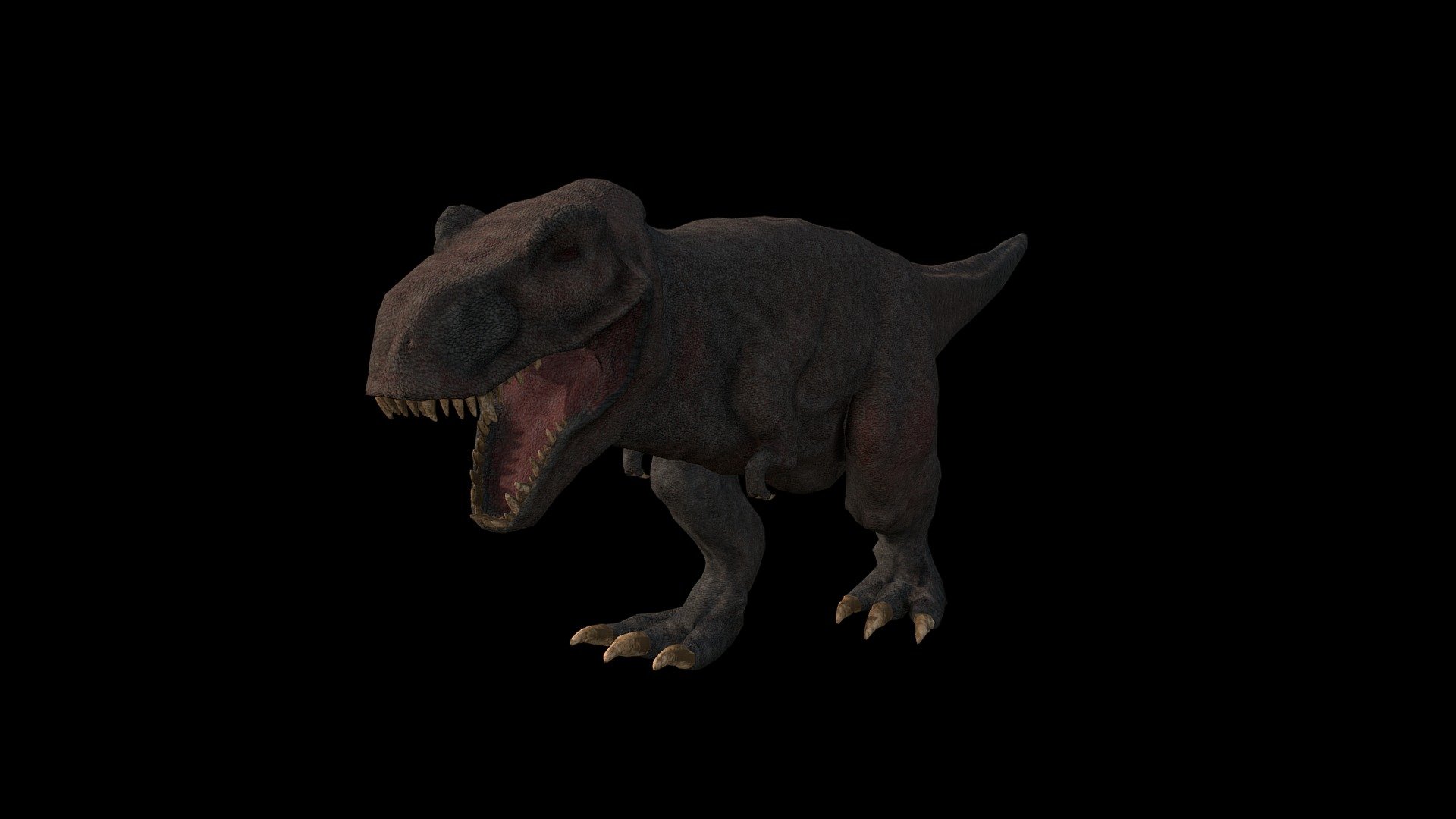 T-Rex (Tyrannosaurus rex)