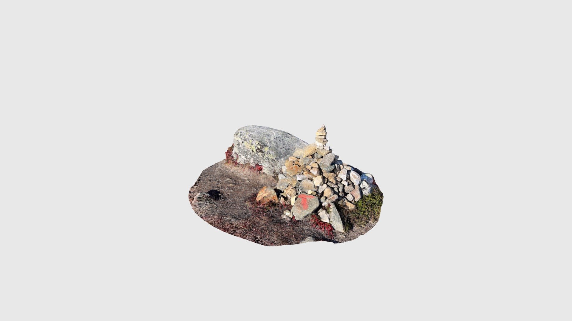 Hardangervidda - Varde