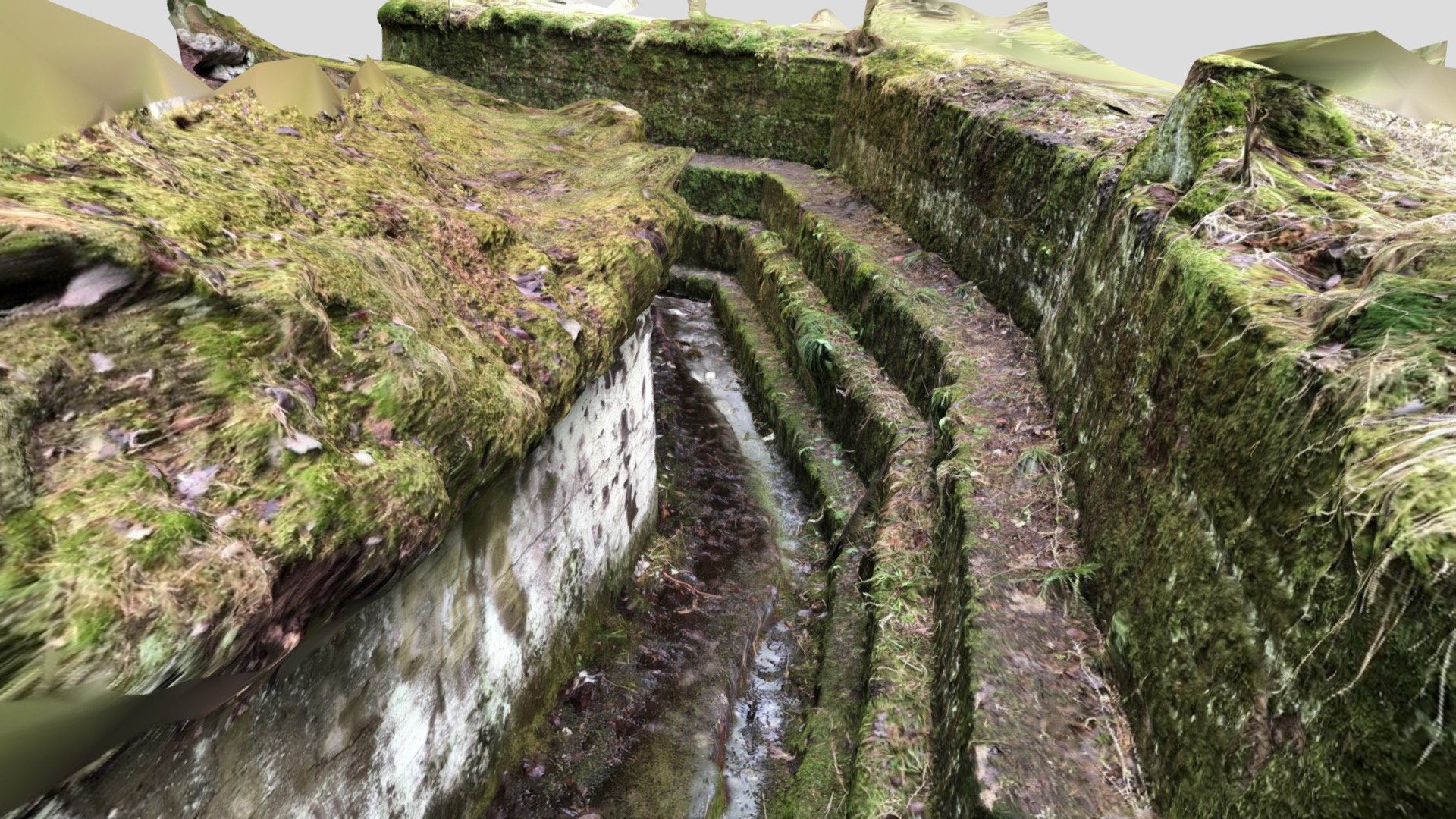 WW1 trench, Paloheinä, Helsinki, Finland