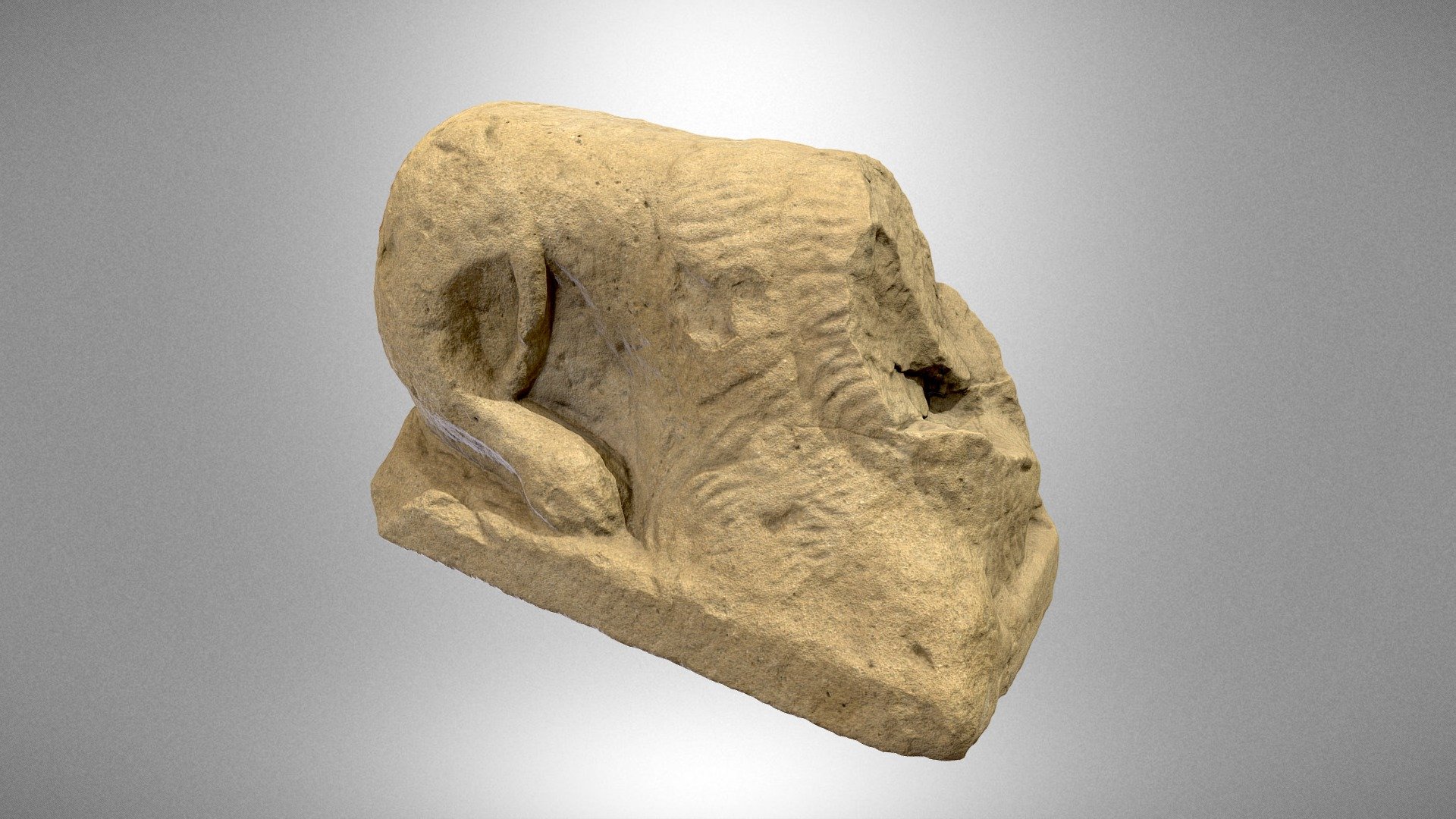 A lion