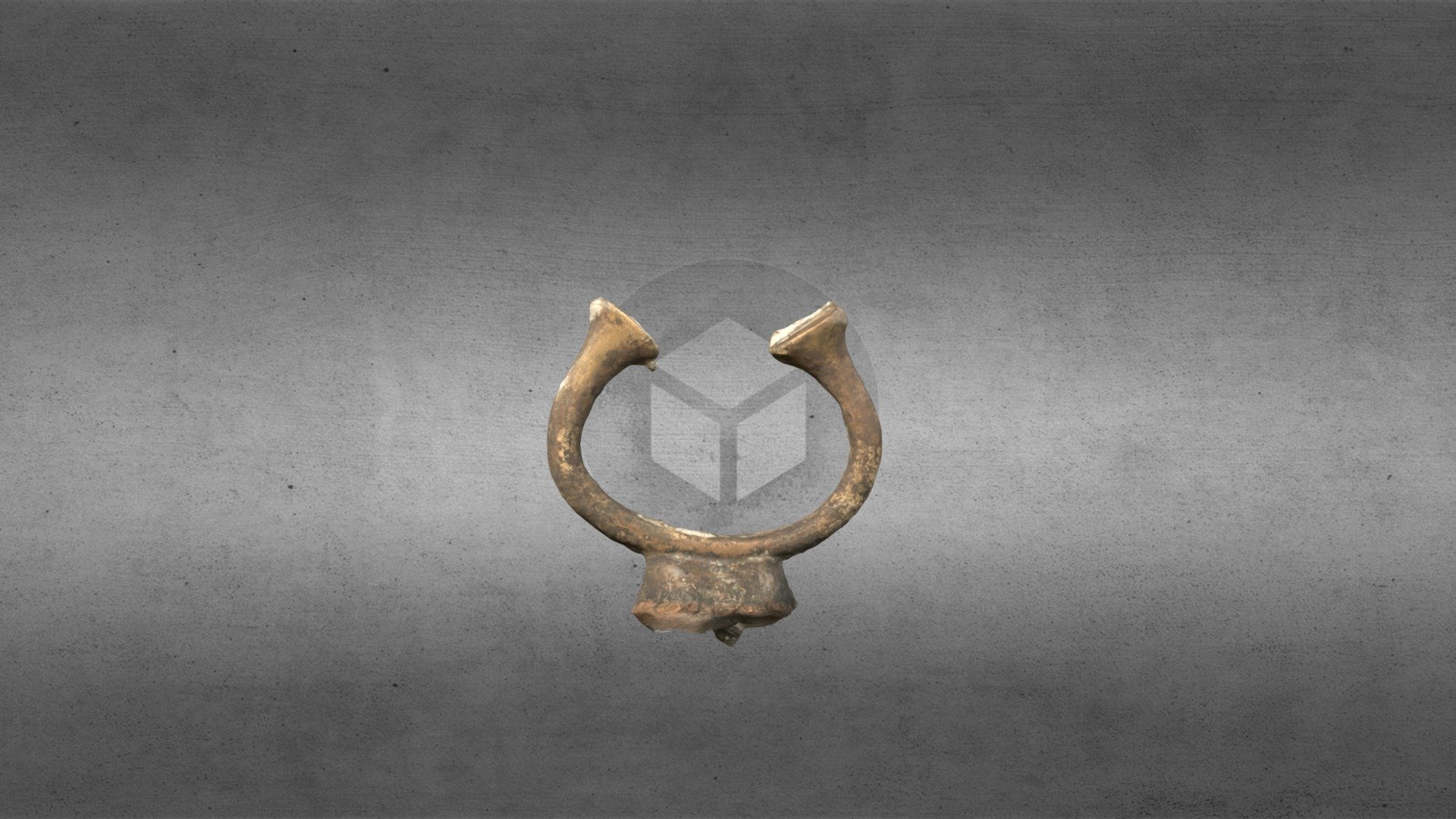 Hunt Museum - Torc -