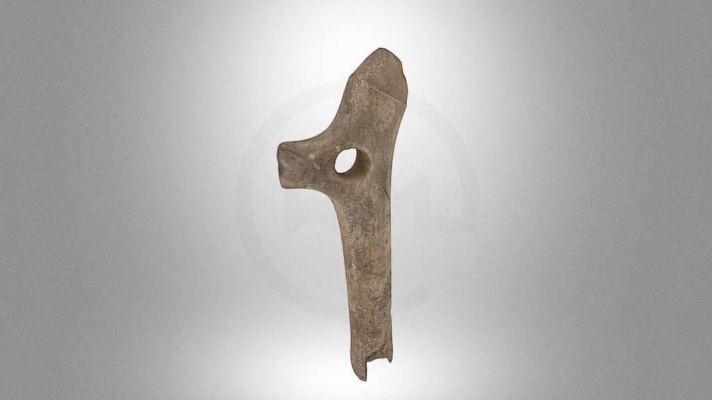 Horn sceptre from Maszycka Cave