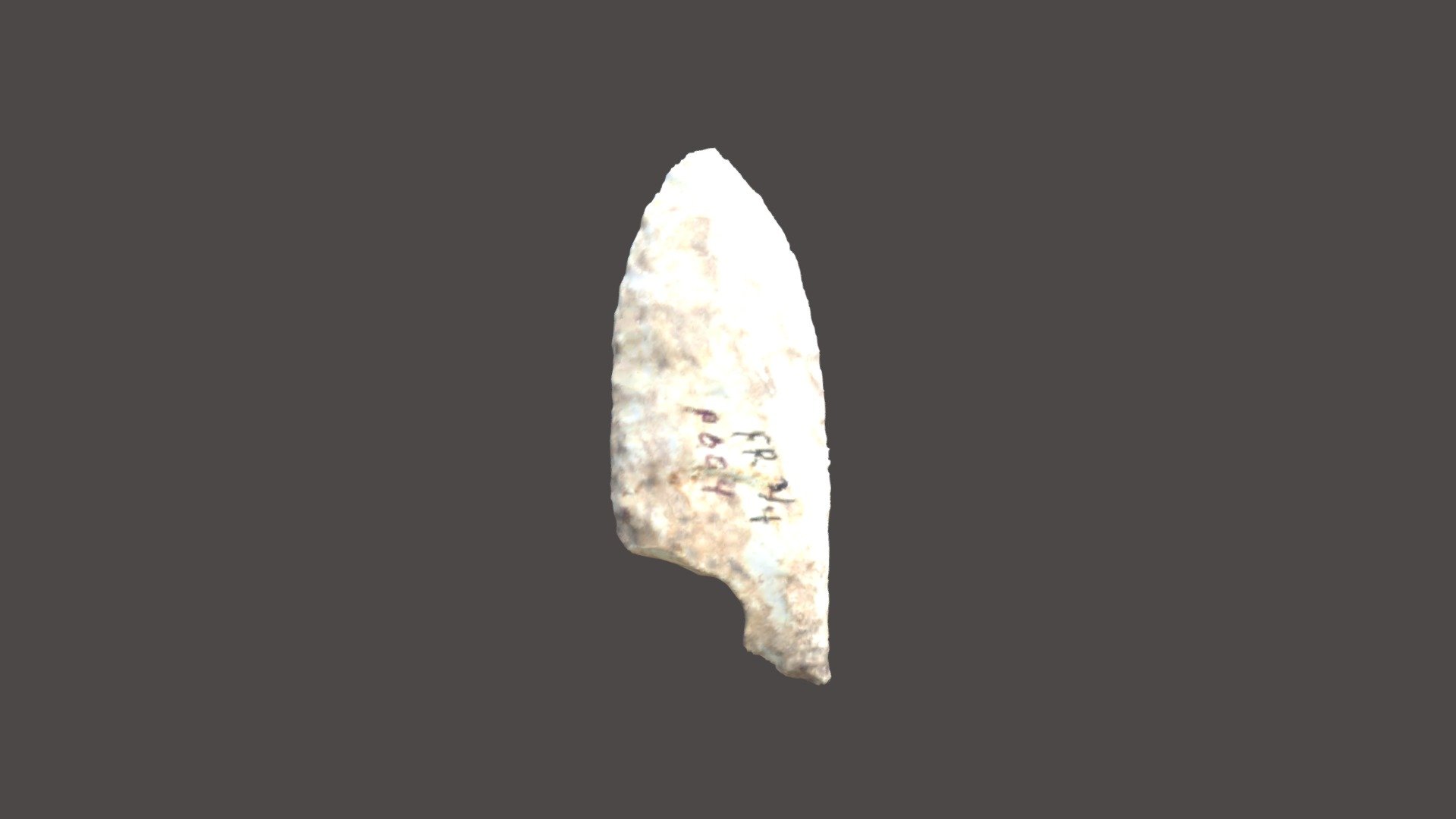 FR004, Paleoindian, Clovis or fluted point
