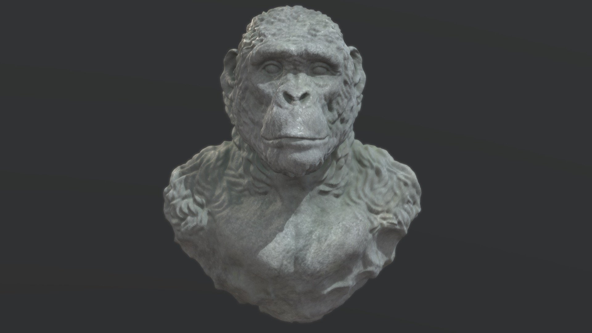 Monkey / Australopithecus stone bust