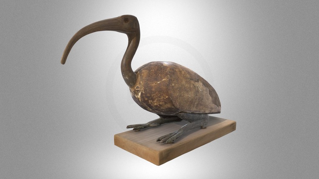 Ibis