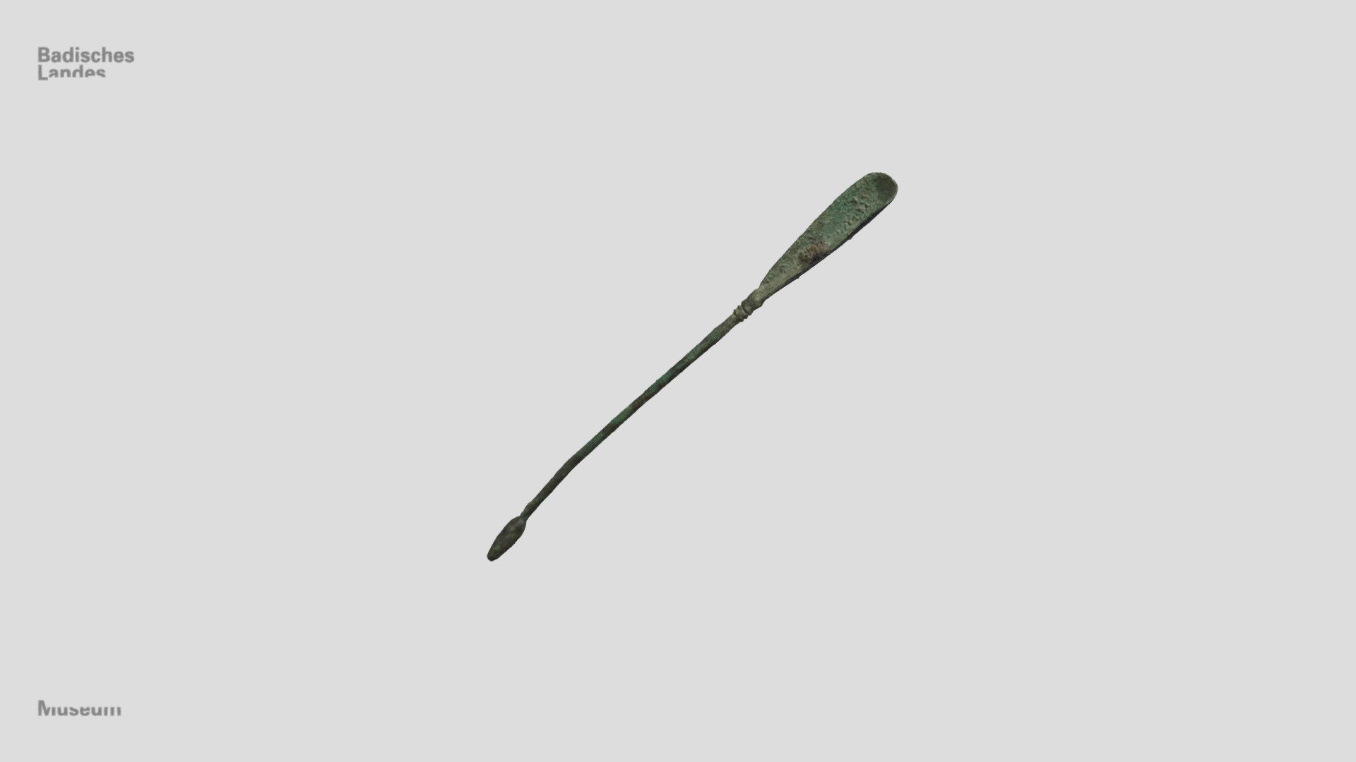 Löffelsonde (Cyathiscomela)