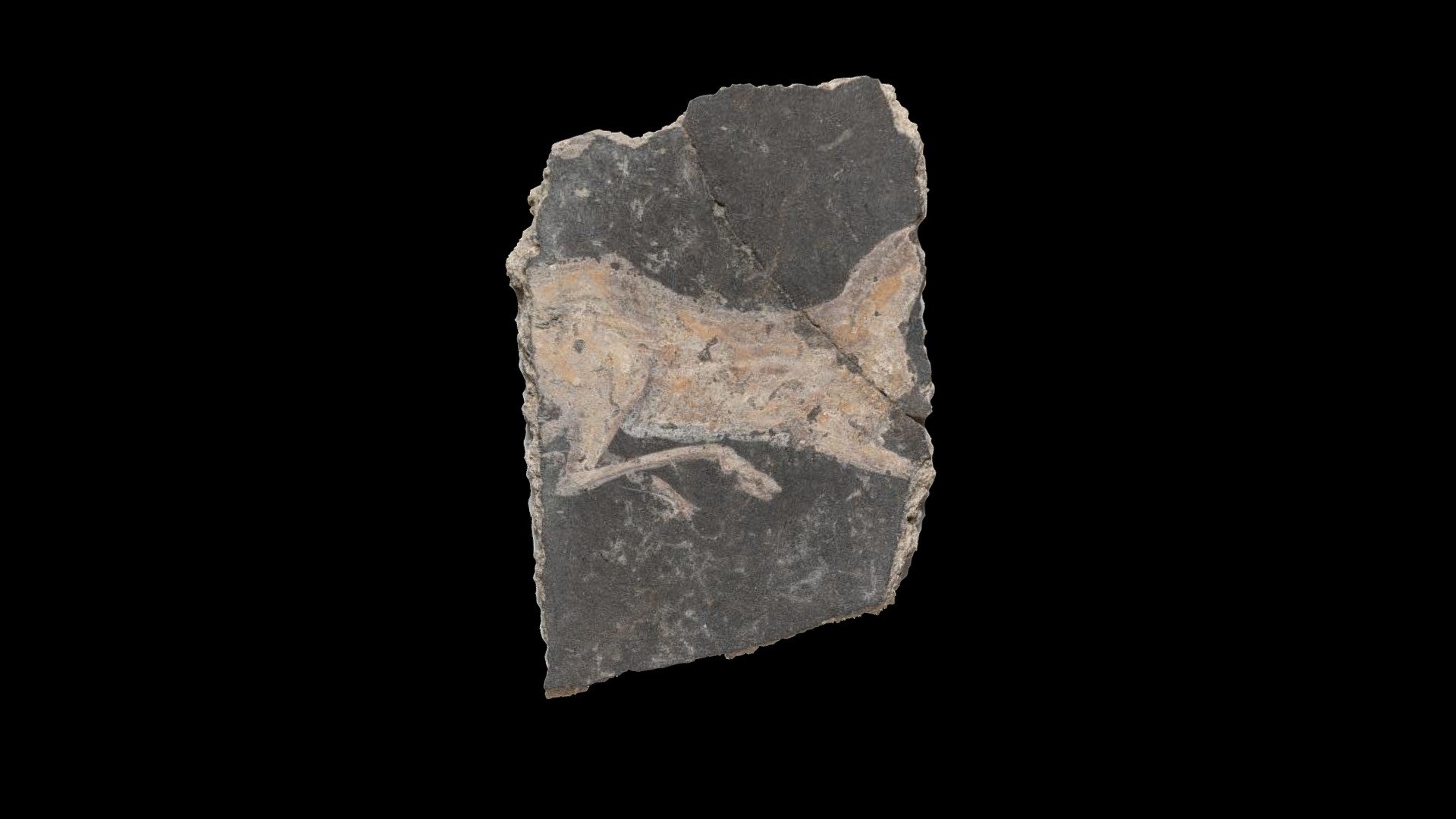 Painted wall fragment 10