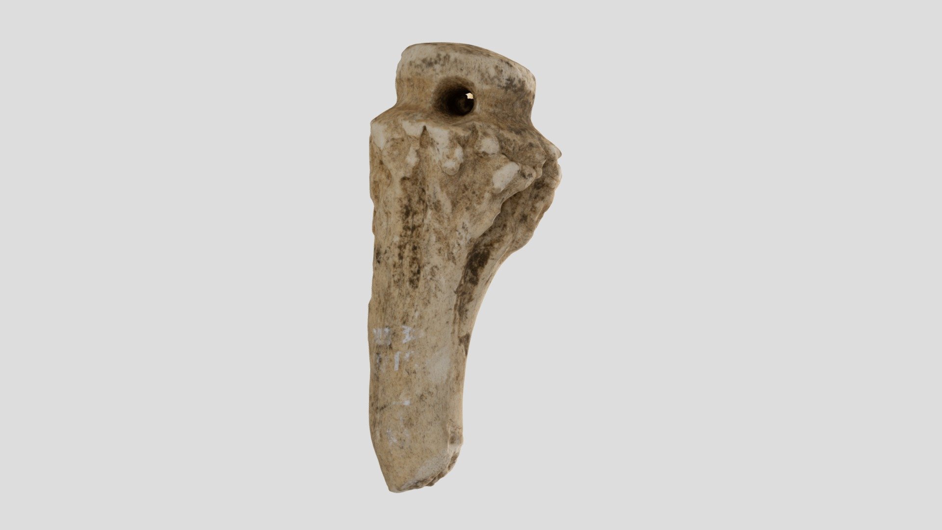 鹿角製垂飾　antlar pendant